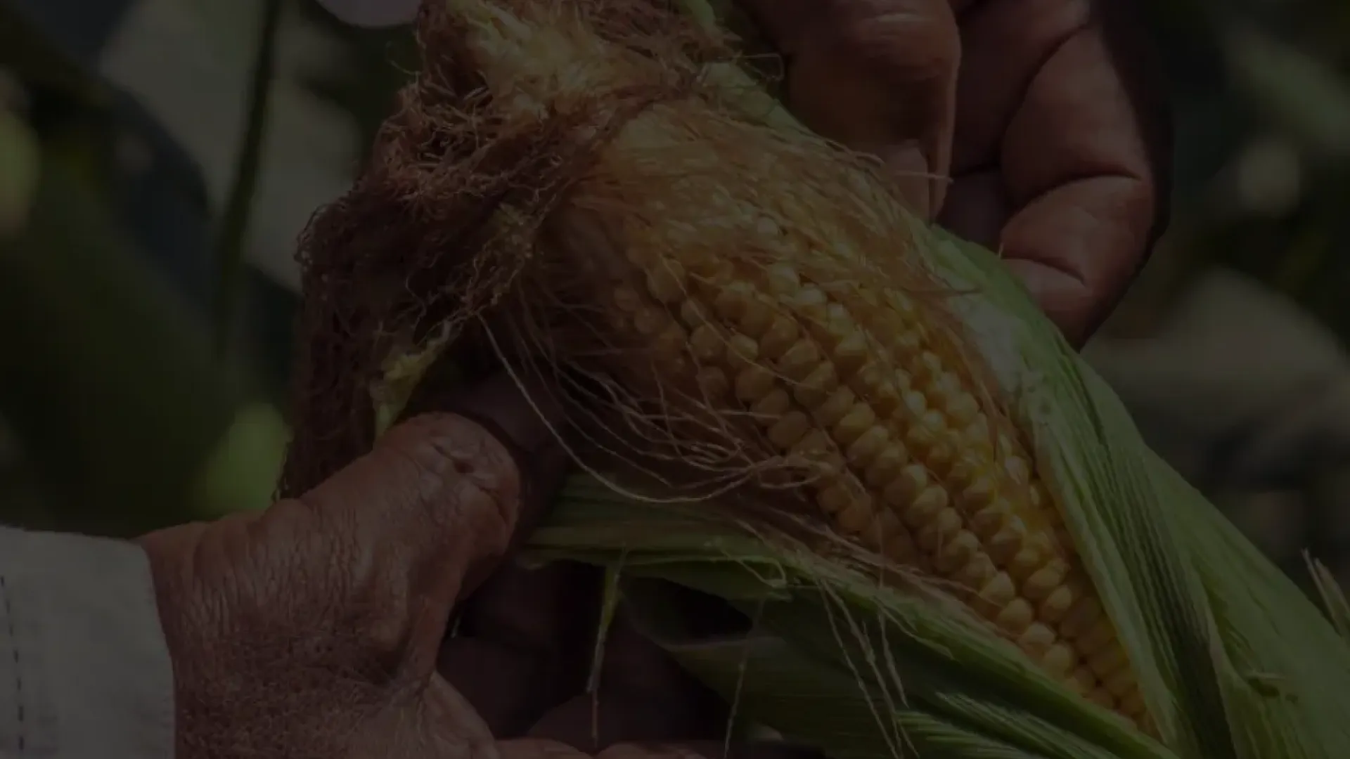 Chocó, Colombia: a hotspot of human biodiversity